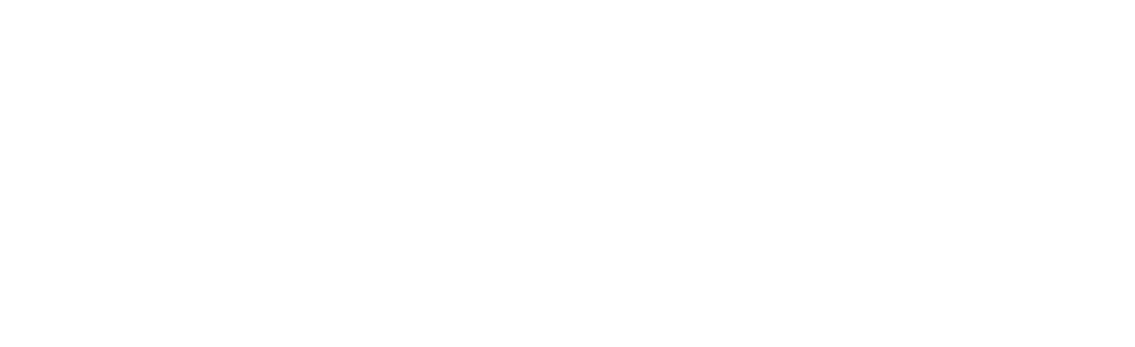 LEWEX